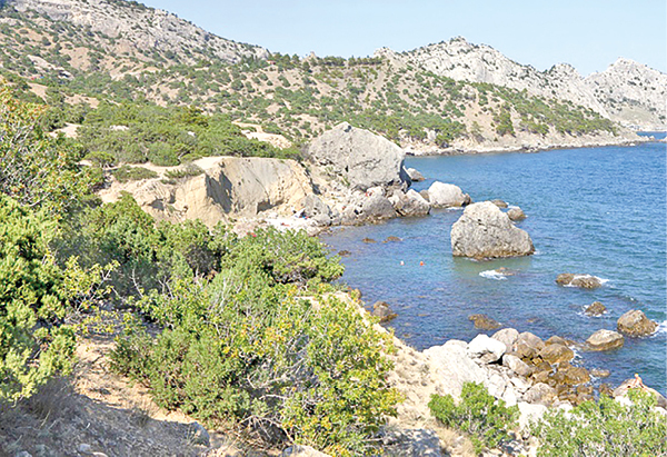 Евгений ЛЕТОВ, Иван КОНОВАЛЕНКО, Владимир ИВАНОВ