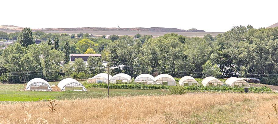 Михаил Гладчук