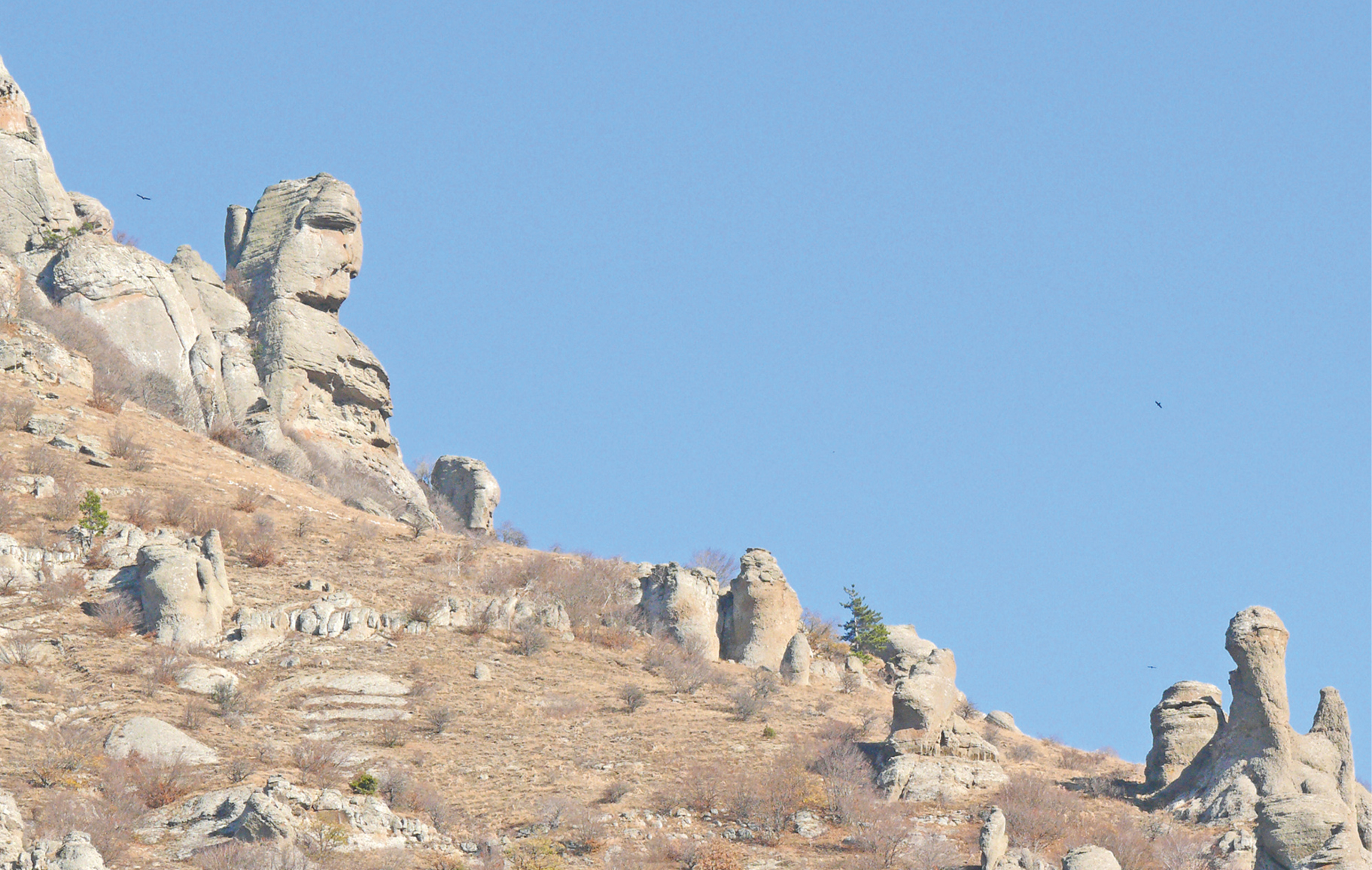 От каменной Мадонны до ангелов милосердия: женские образы и судьбы в истории Крыма