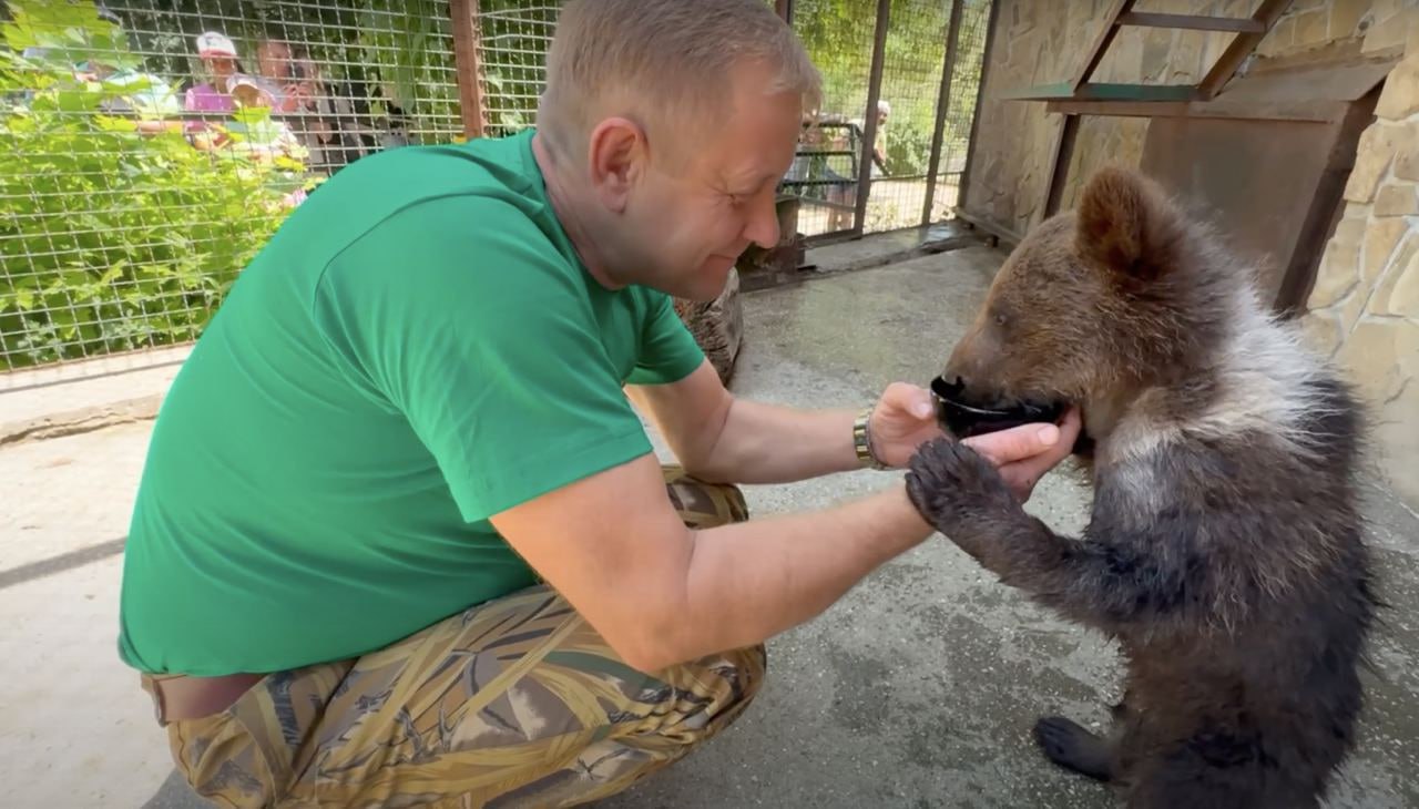 У крымчанина конфисковали медвежонка за несоблюдение правил содержания