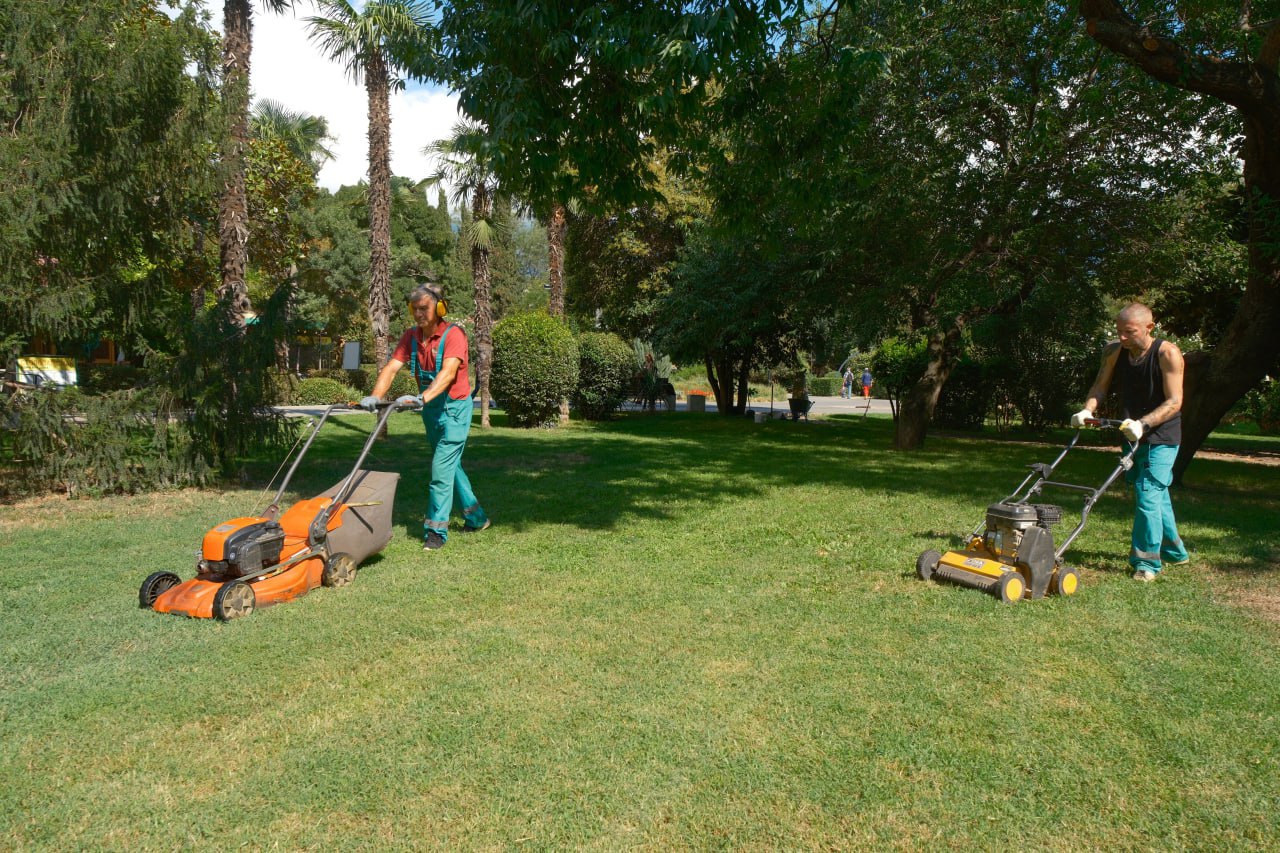 В Ялте приводят в порядок газоны