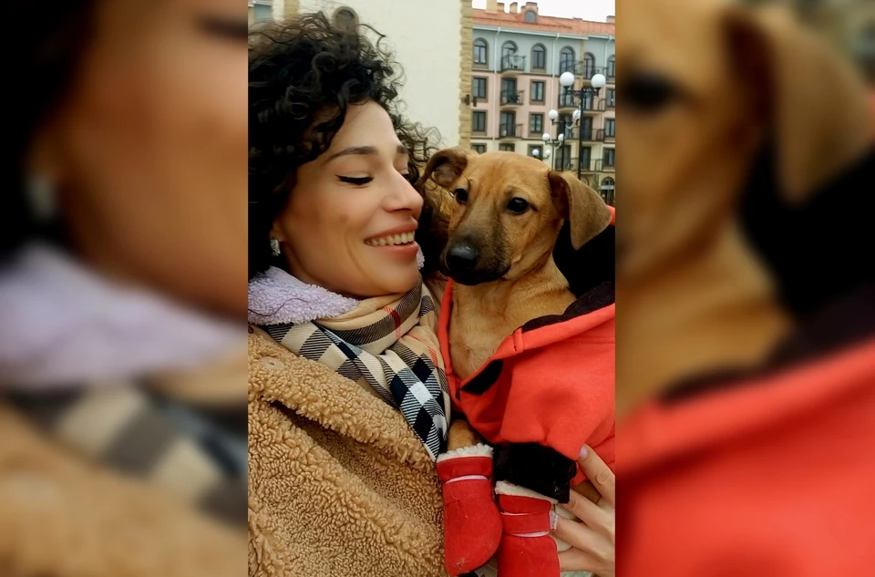 Покалеченный щенок из Кемерова обрел семью в Крыму