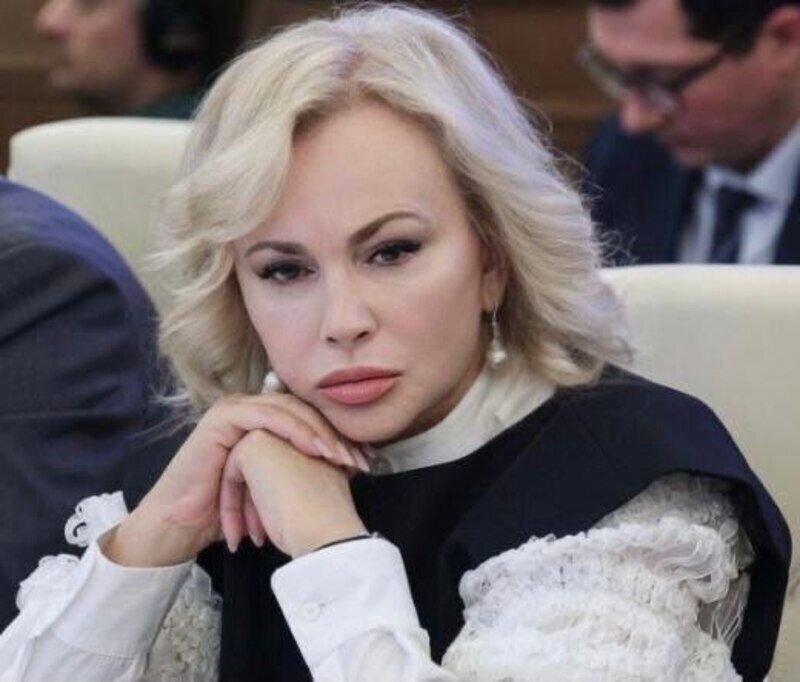 Спецоперация привела к необходимости криминализации целого ряда деяний, - Ковитиди