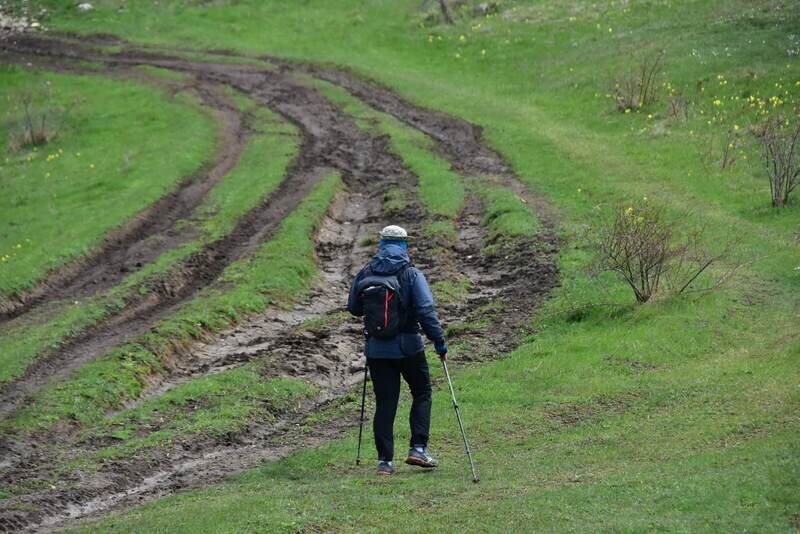 В Крыму пройдет фестиваль по северной ходьбе