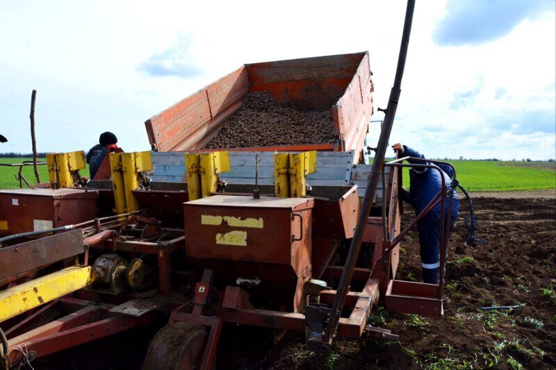 В Крыму начали сажать ранний картофель