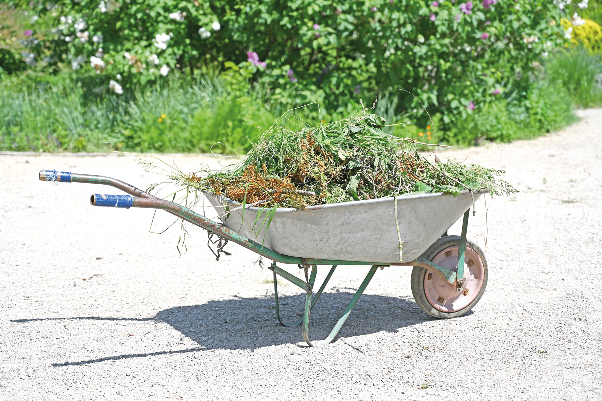 Пять неочевидных причин, по которым могут оштрафовать дачника