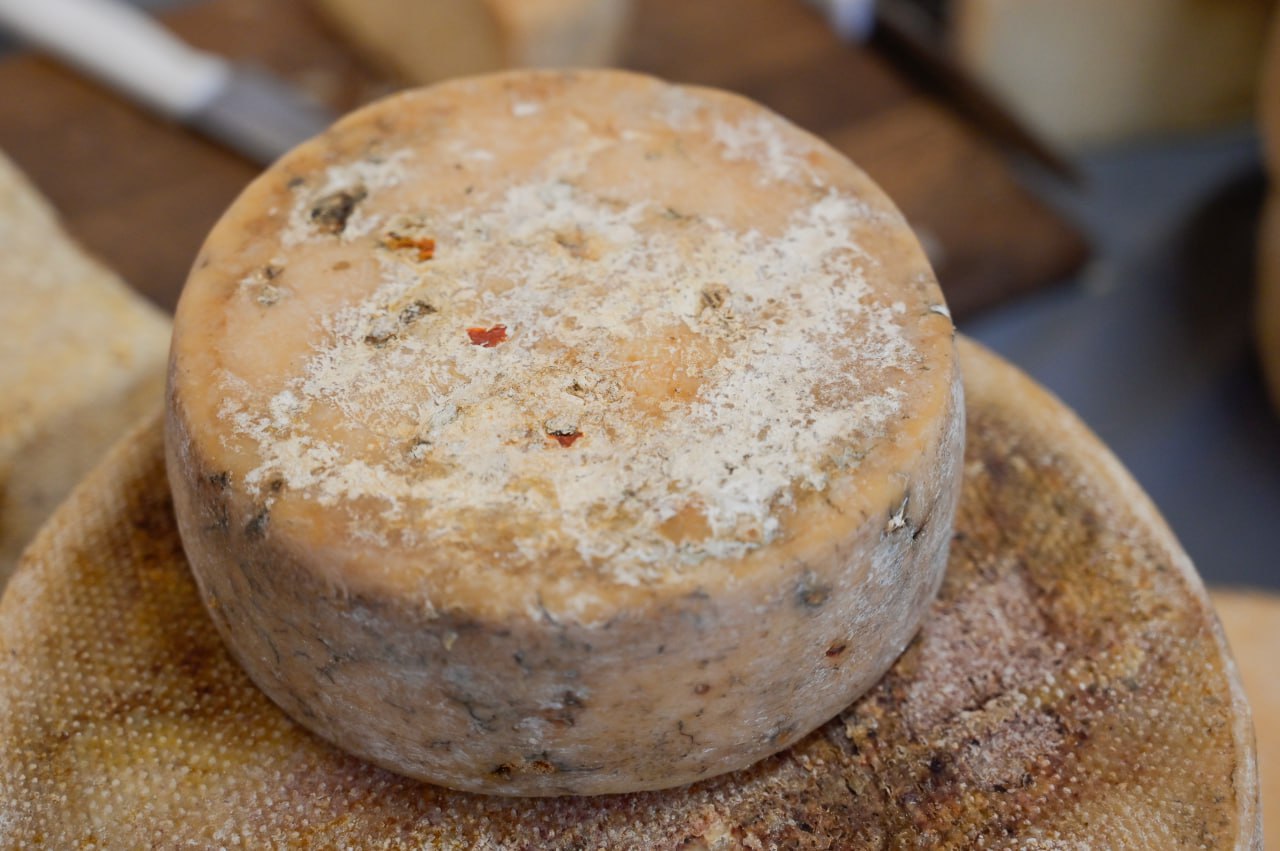 Как наш организм понимает, что пора просыпаться и  опасна ли плесень на продуктах: рубрика интересных фактов