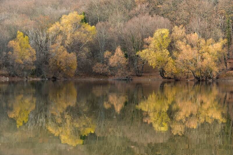 Золотая пора: осенний Крым в объективе