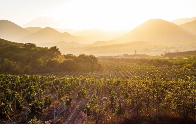 Куда сходить: интересные мероприятия 15 ноября в Крыму