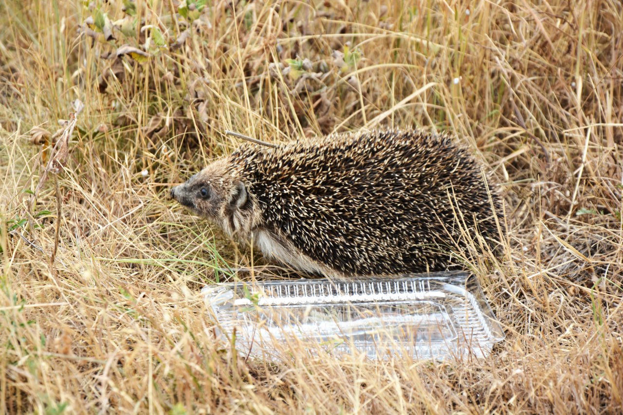 29 ноября: какой сегодня день