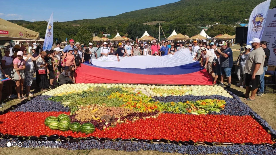Ко Дню флага в Крыму выложили гигантское панно из овощей и фруктов