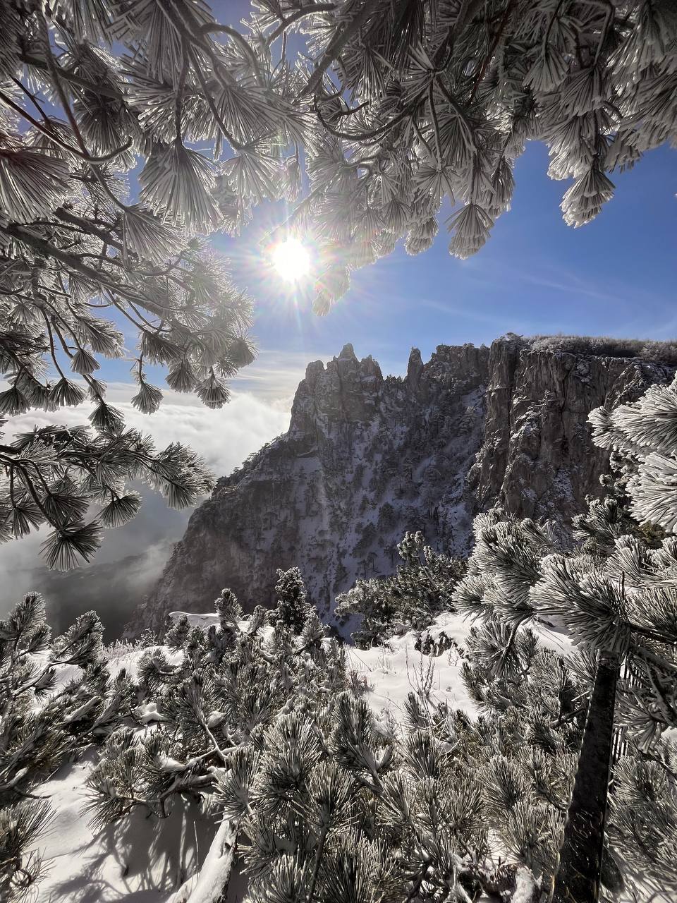 На Ай-Петри высота снега в январе превысила норму в три раза