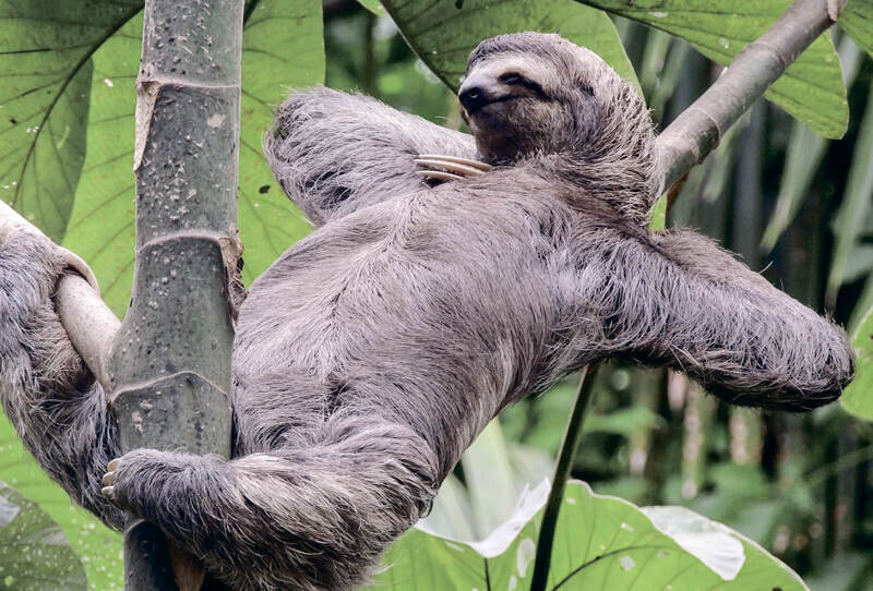 Как различать лень, апатию и усталость и нужно ли с этим бороться