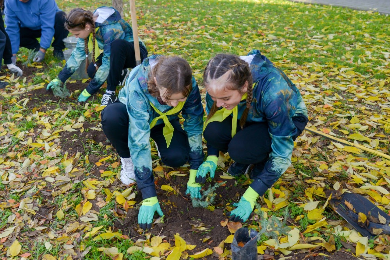 Как школьники Евпатории помогают сохранить можжевельники Крыма