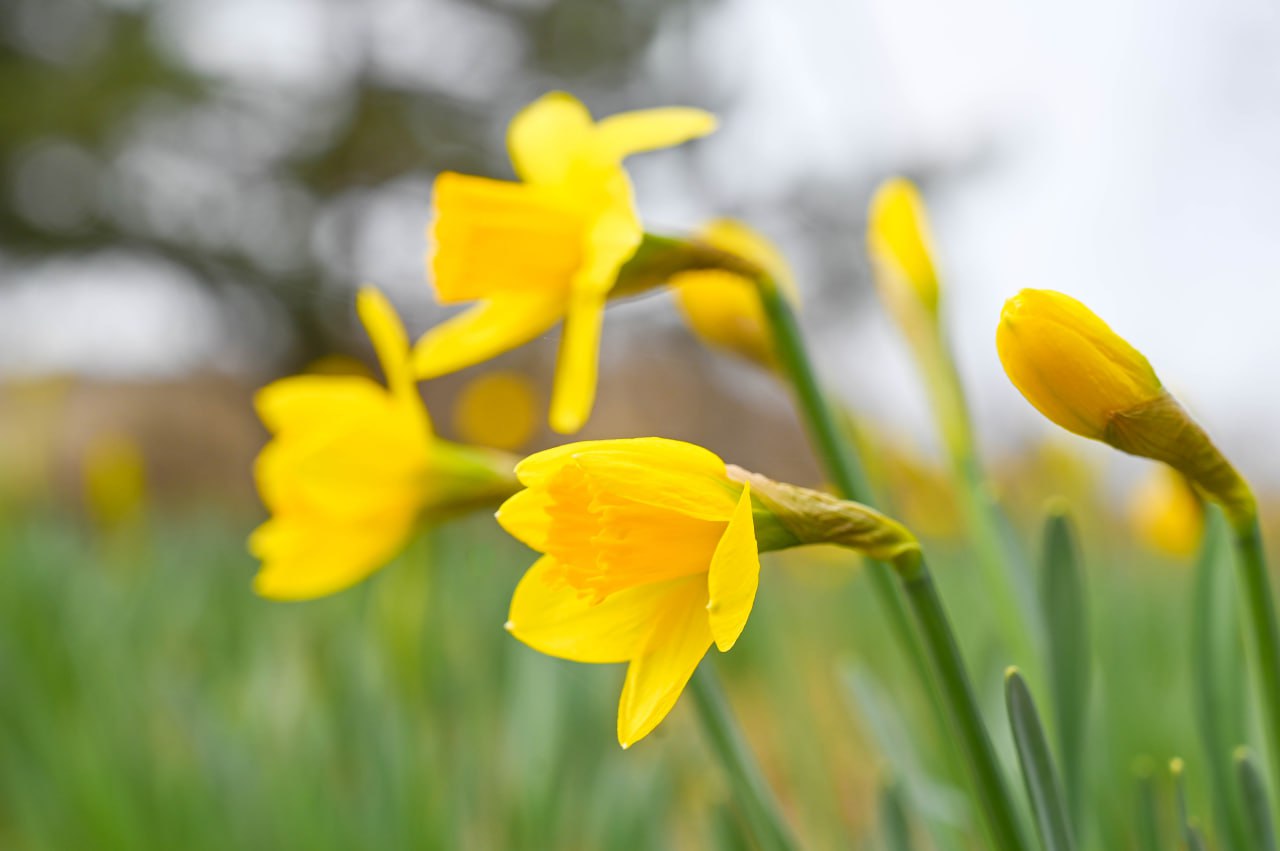 Погода в Крыму 27 марта: днëм до +19