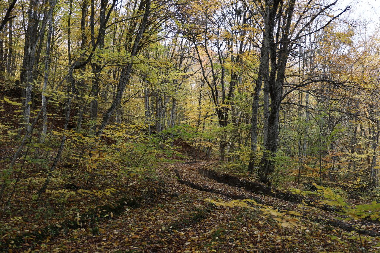Под Симферополем планируют создать новую особо охраняемую природную территорию