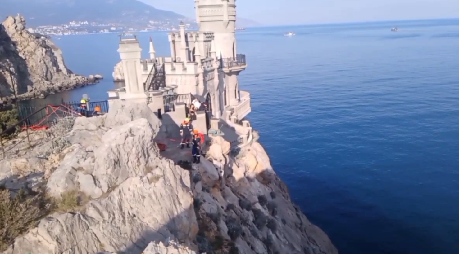 Ялтинская кошка Муся, ставшая жертвой живодера, жива: спасатели эвакуировали ее со скалы