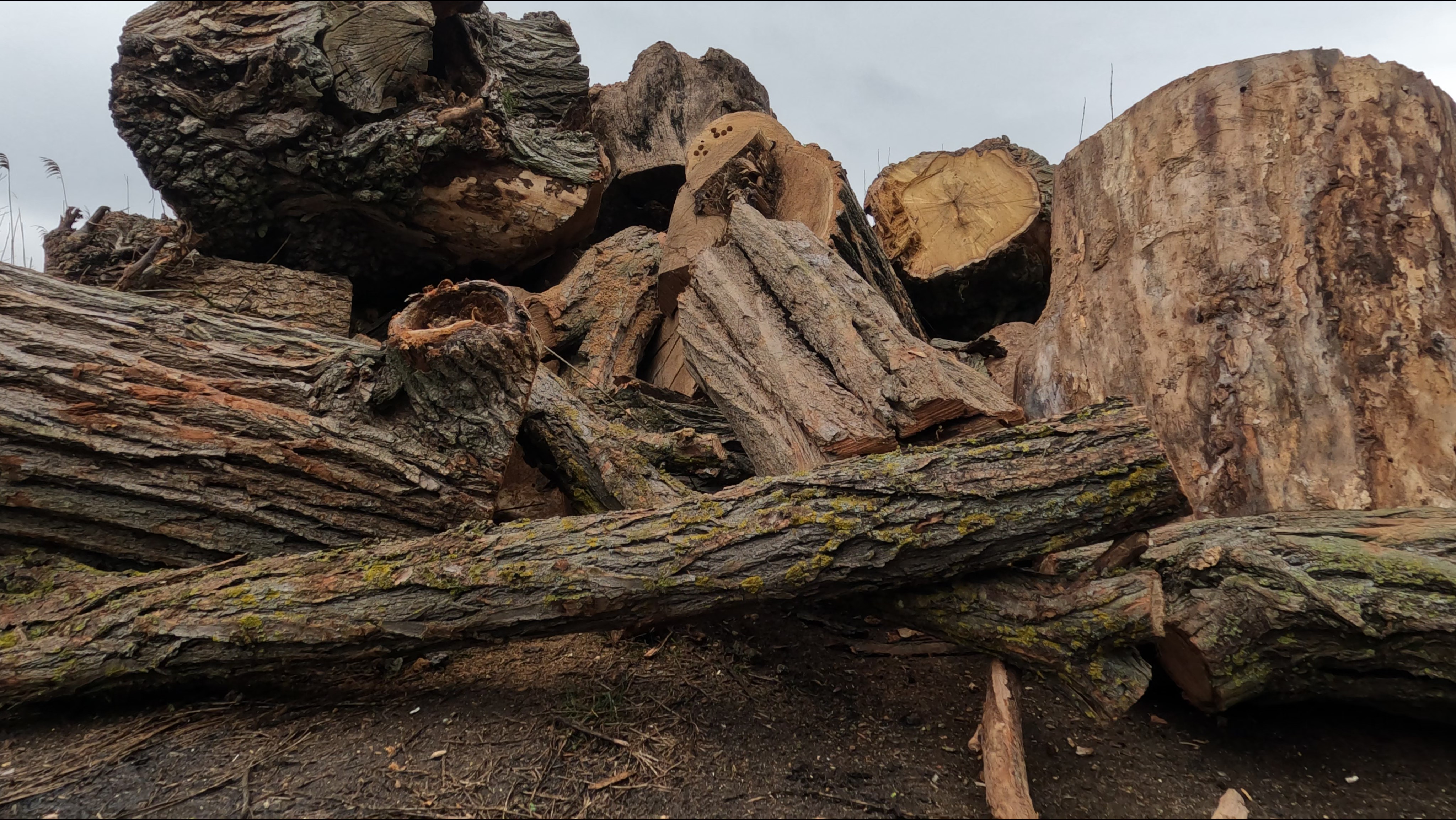 Более 350 тонн дров передали бойцам СВО из Крыма