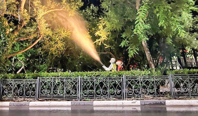 Улицы Ялты обработают от от вредителей до 1 сентября 