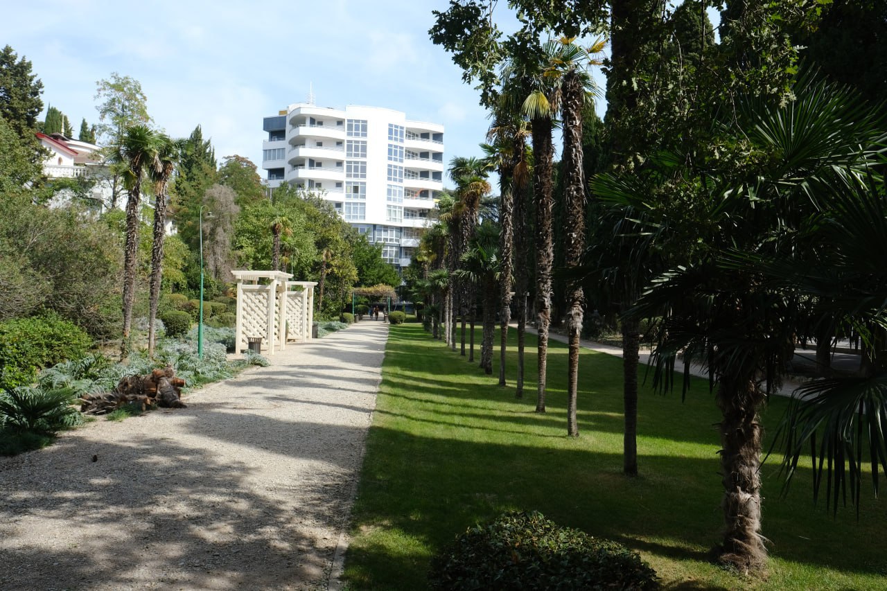 В  Мисхорском парке благоустроят более 8 гектаров территории