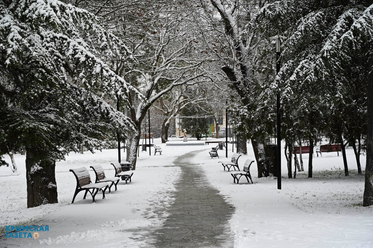 Крым в снежной ловушке: как службы справляются с непогодой