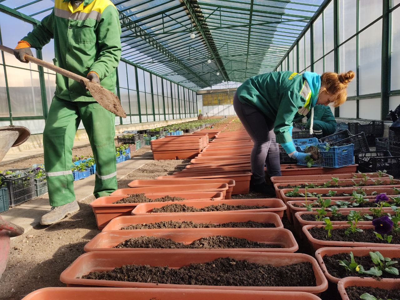В марте Симферополь украсят кашпо с весенними цветами