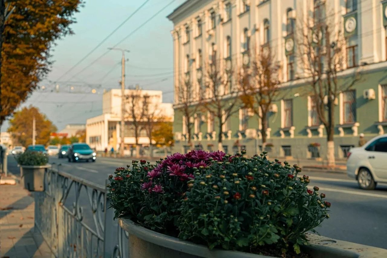Свыше 660 кашпо с хризантемами украсят улицы Симферополя