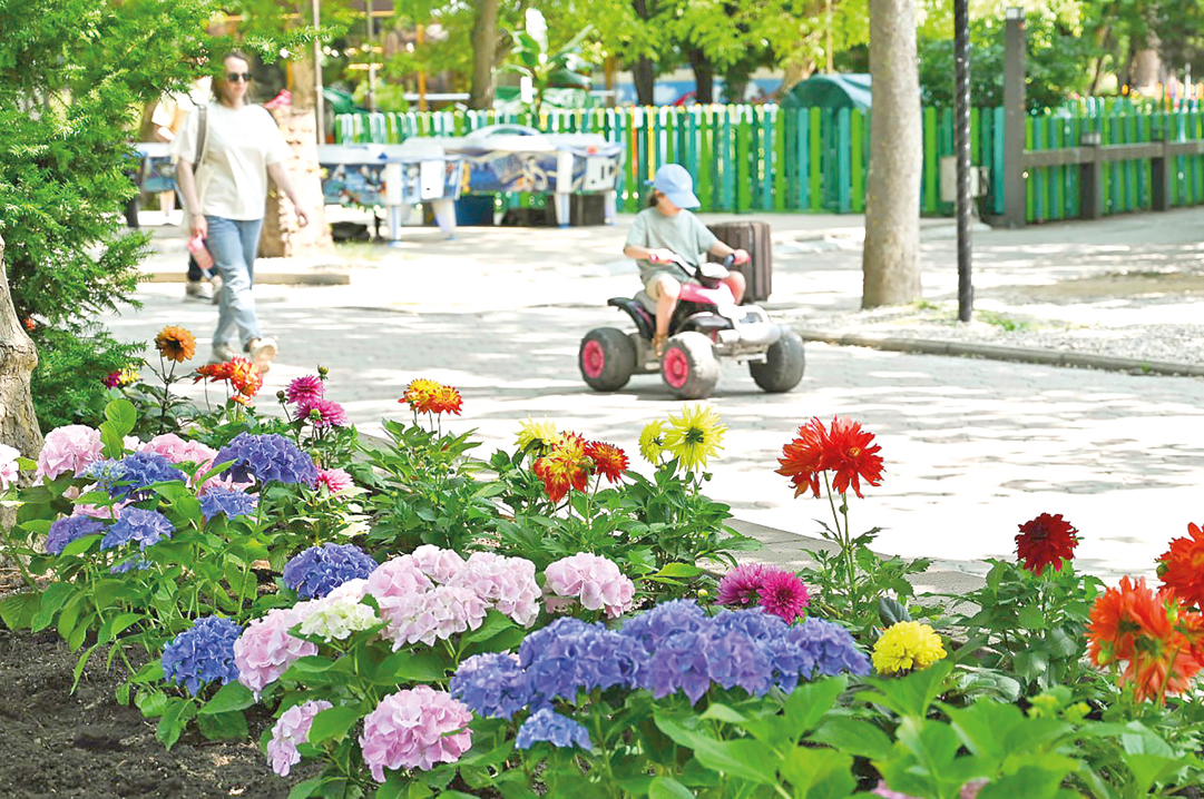 Амфитеатр, фонтан, велодорожки: как в Симферополе благоустраивают парки и зоны отдыха