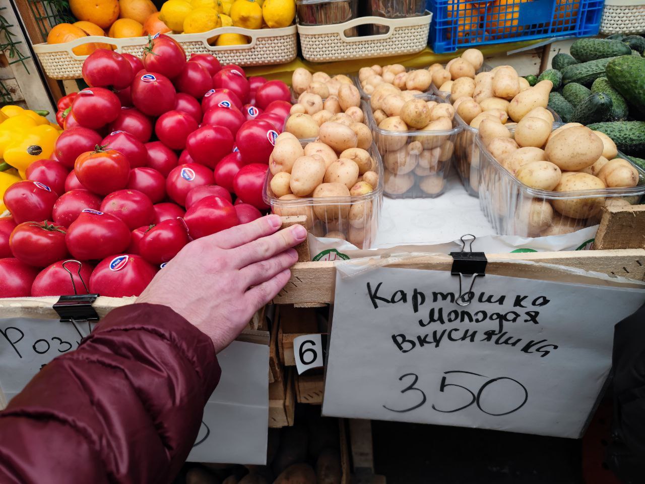 Эксперт рассказал, когда в Крыму подешевеет картофель