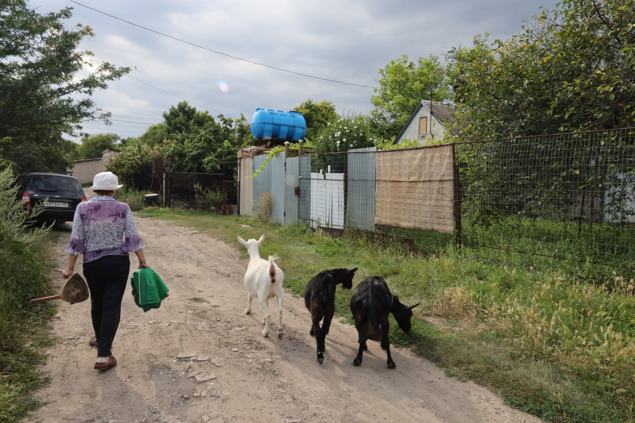 Минимущества Крыма призвало членов СНТ поторопиться с оформлением своих земельных участков