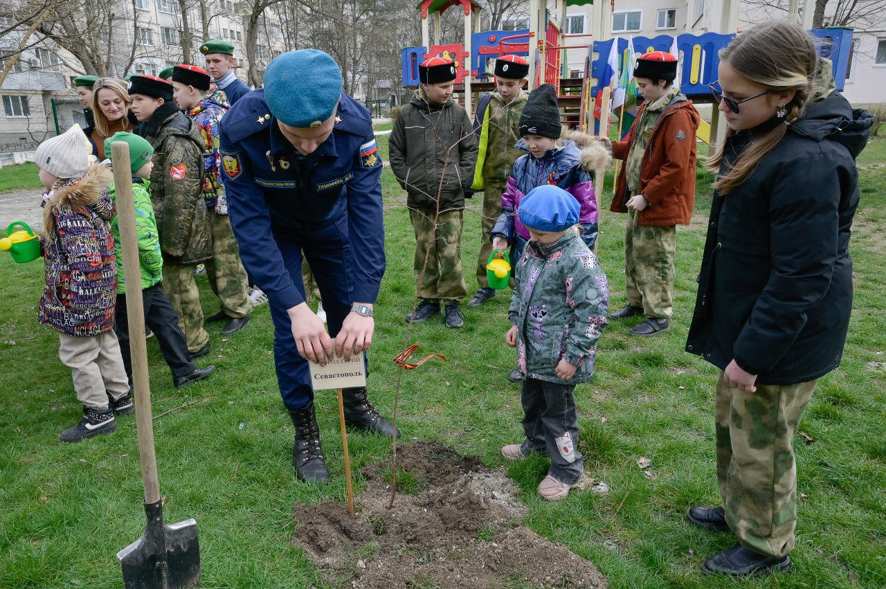 В Симферополе военнослужащие срочной службы полка ВДВ высадили берёзовую аллею - фоторепортаж