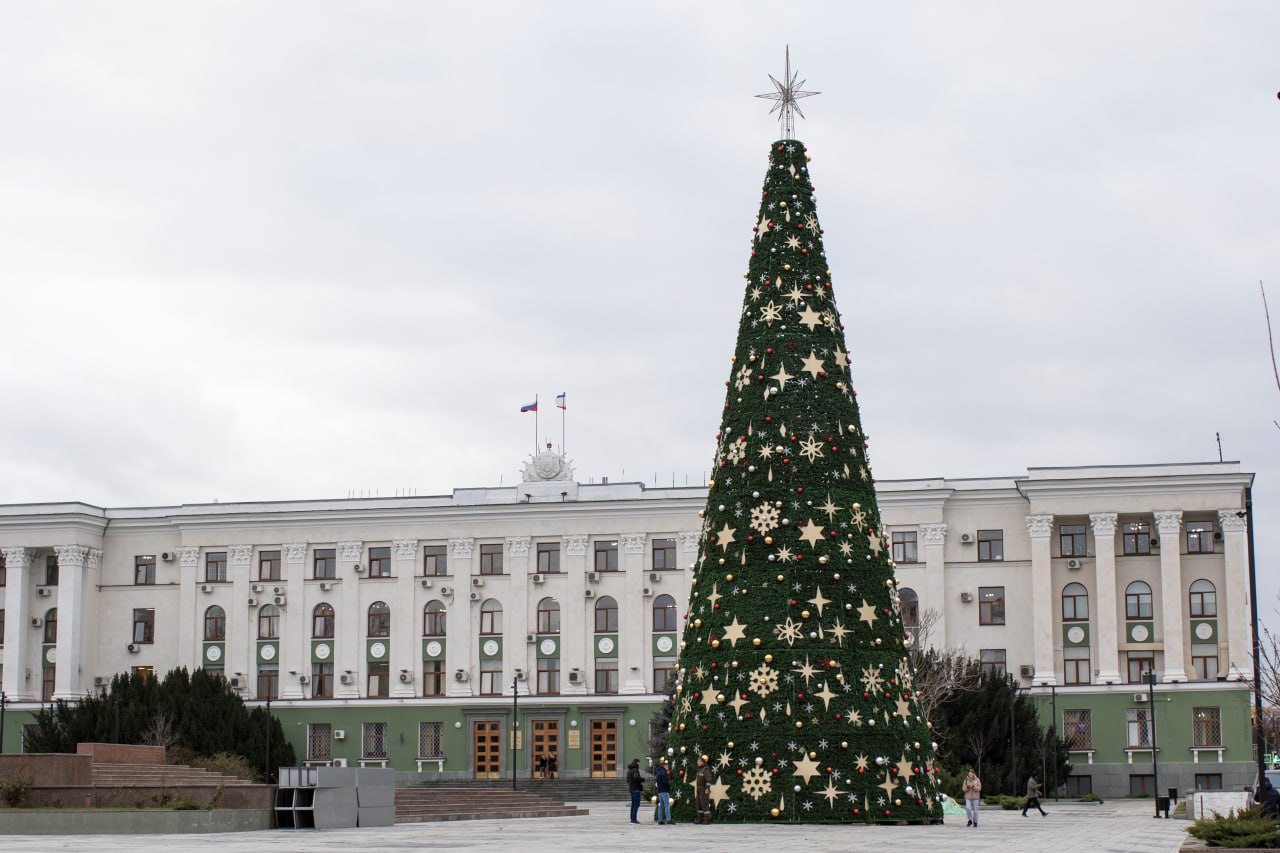 В Симферополе установили главную ёлку города