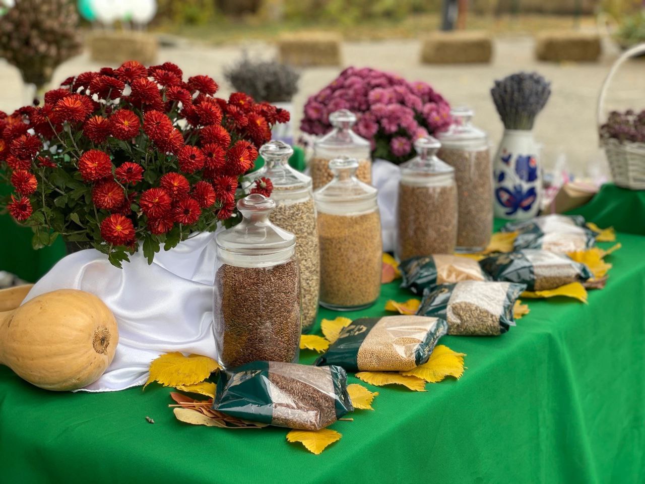 Крымские учёные получили грант на новую технологию выращивания расторопши