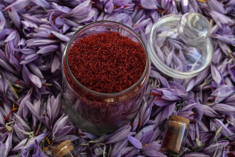 На вес золота: как в Крыму собирают шафран