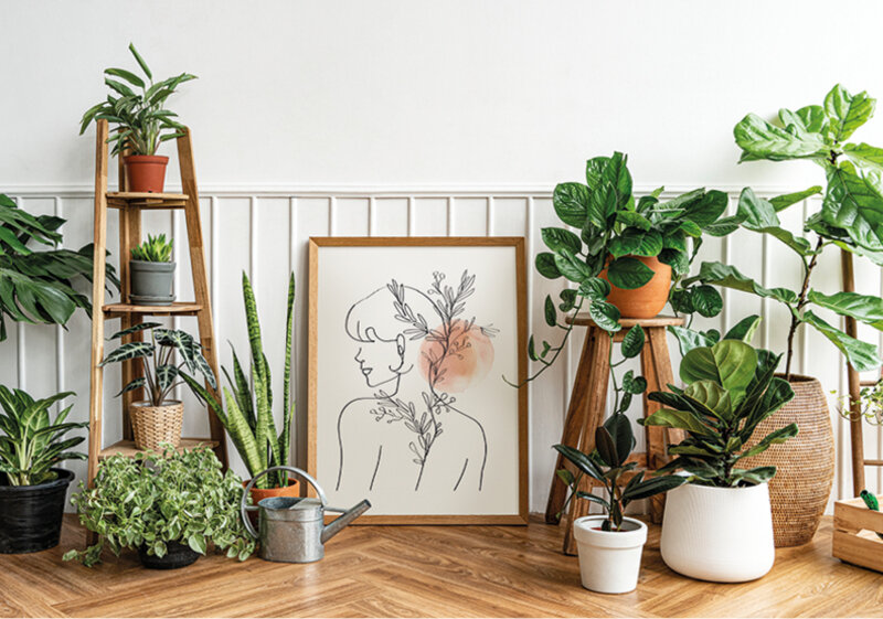 Симфония ароматов: как растения могут улучшить нашу жизнь