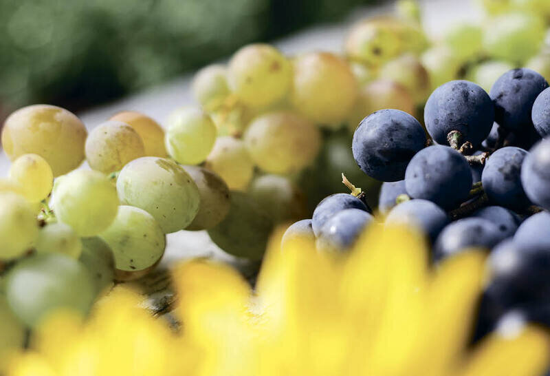 Летящей походкой: как спасти суставы от изнашивания