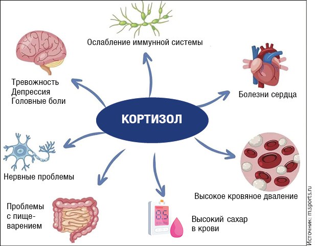 msports.ru photo_2025-04-23_14-04-05.jpg