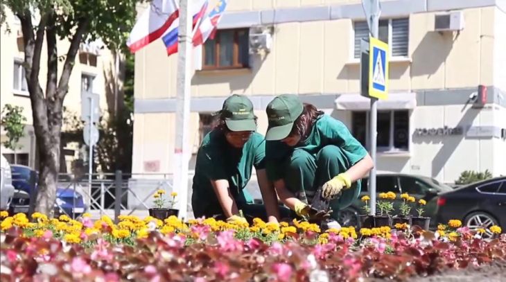 Две тысячи цветов украсили сквер у симферопольской доски почёта