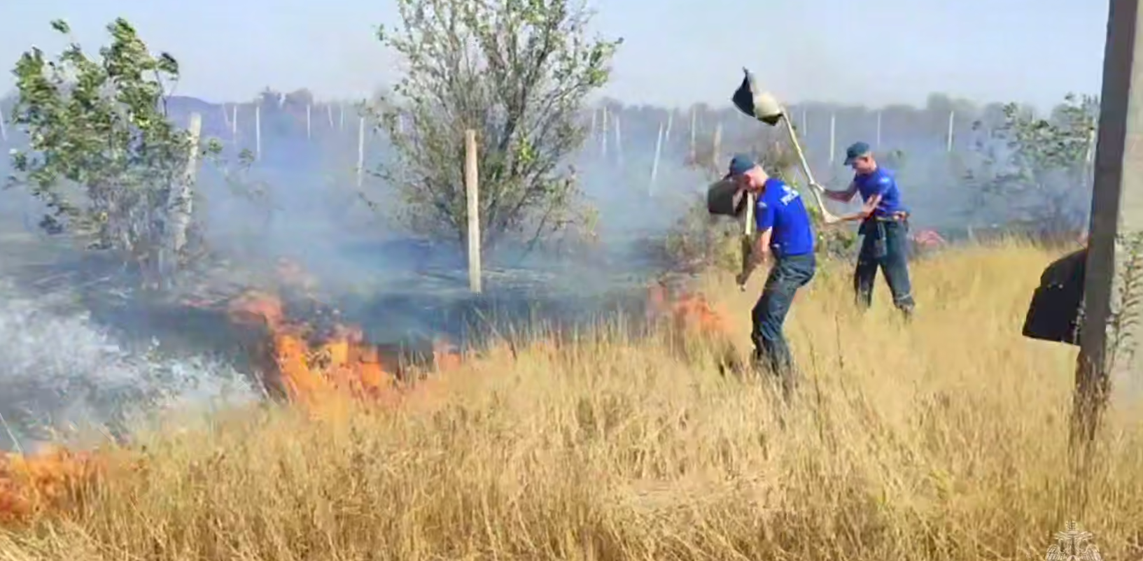 В Симферопольском районе горит сухая растительность на 150 гектарах