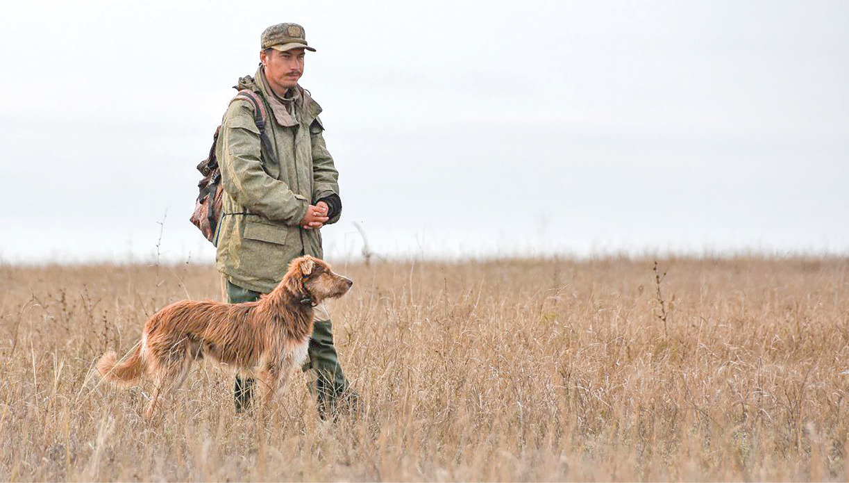 Экзамены для охотников, ловушки для дропперов и штрафы за использование VPN: законы сентября