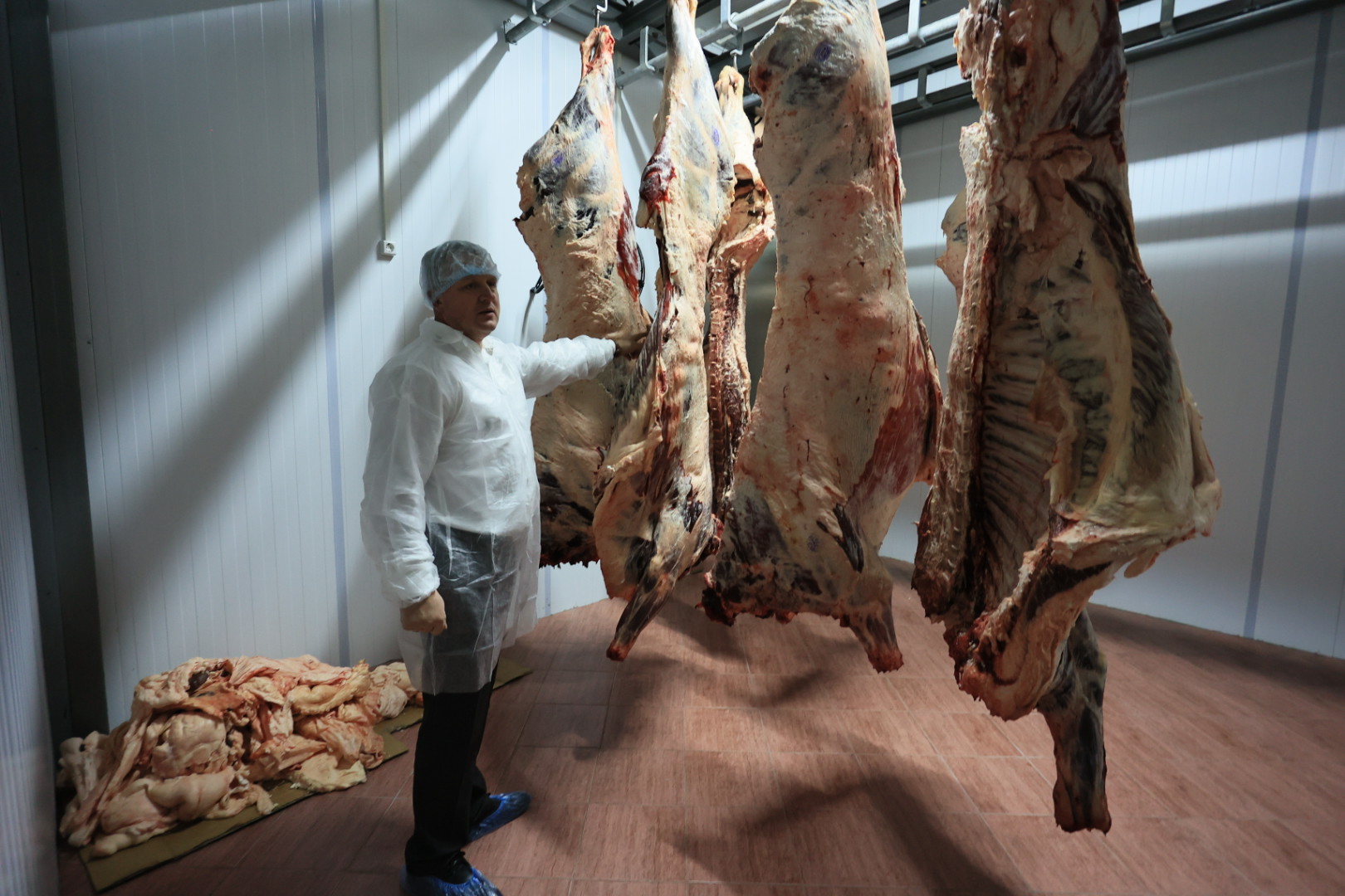 Как в Джанкойском районе работает новый мини-завод по убою и переработке крупного рогатого скота