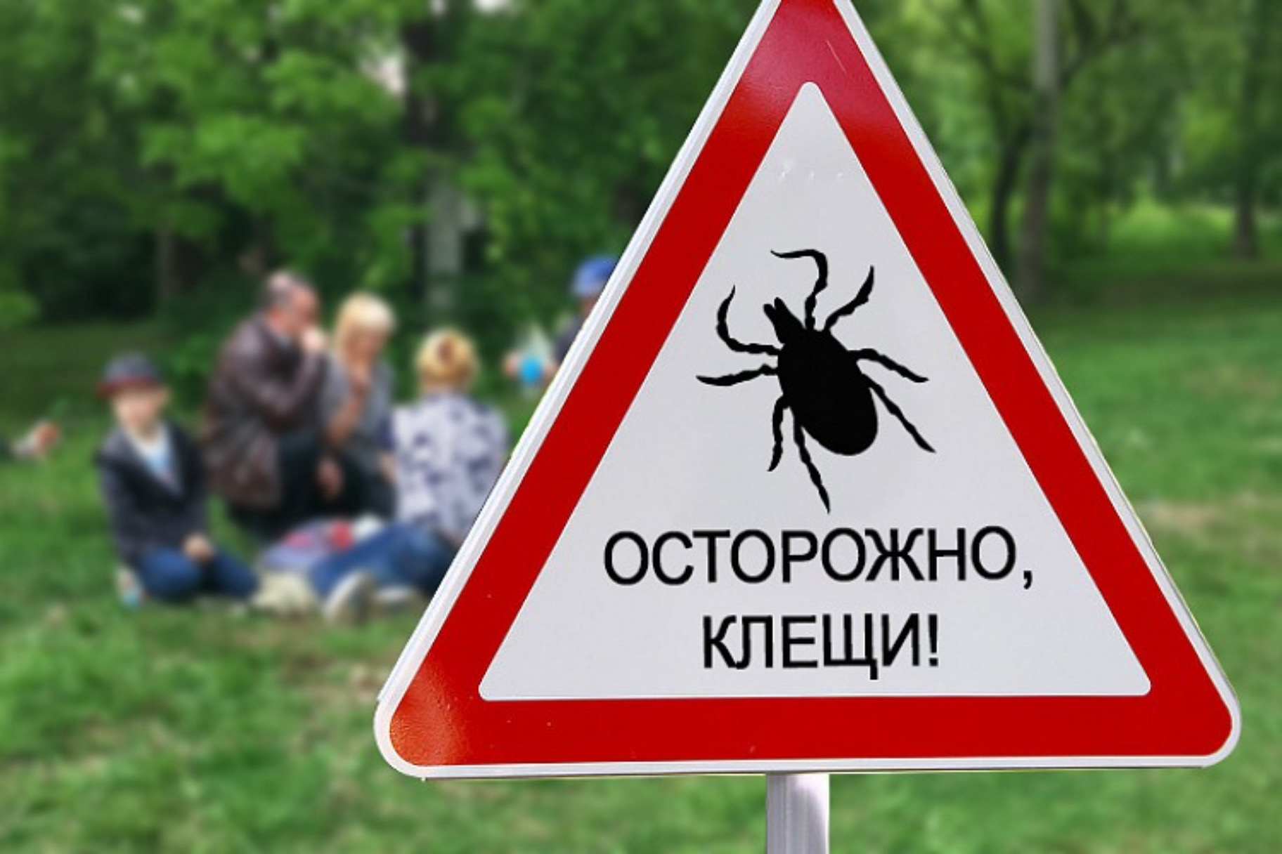 С 30 апреля по 13 мая в Крыму будет работать «горячая линия» по профилактике «клещевых» инфекций 