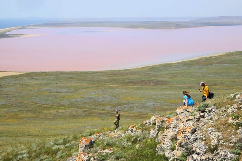 В Крым на зимовку прилетают около 10 новых видов птиц