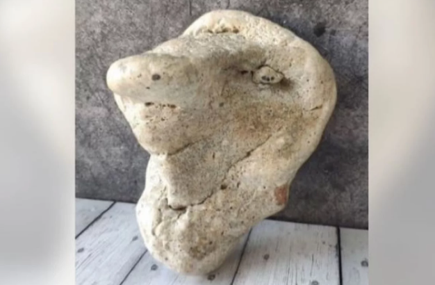 В Севастополе за 3,5 млн рублей пытаются продать камень в виде человеческого лица