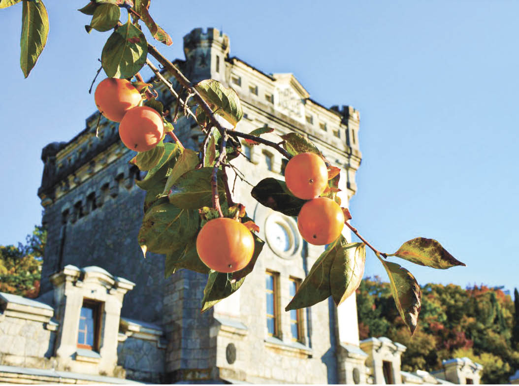 Витамины и минералы: кому полезна хурма, а для кого она опасна