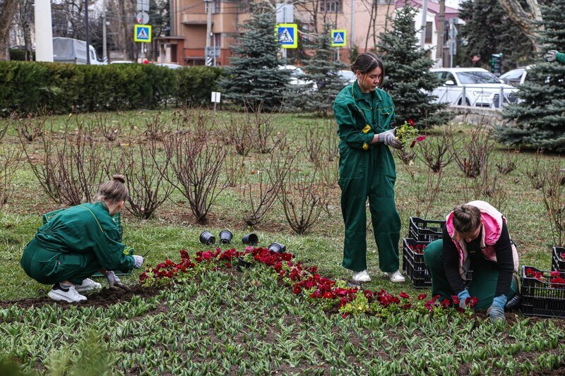 В Симферополе высадят более 10 тысяч кустов и деревьев
