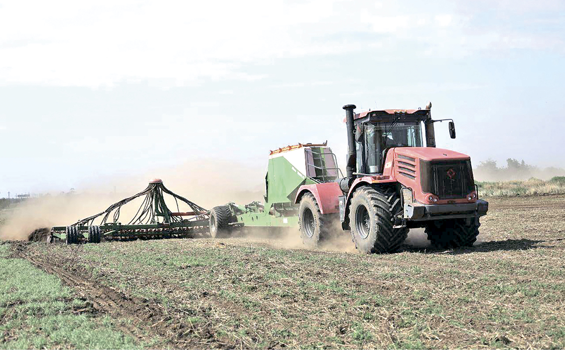 В Крыму стартовала активная фаза сева озимого рапса