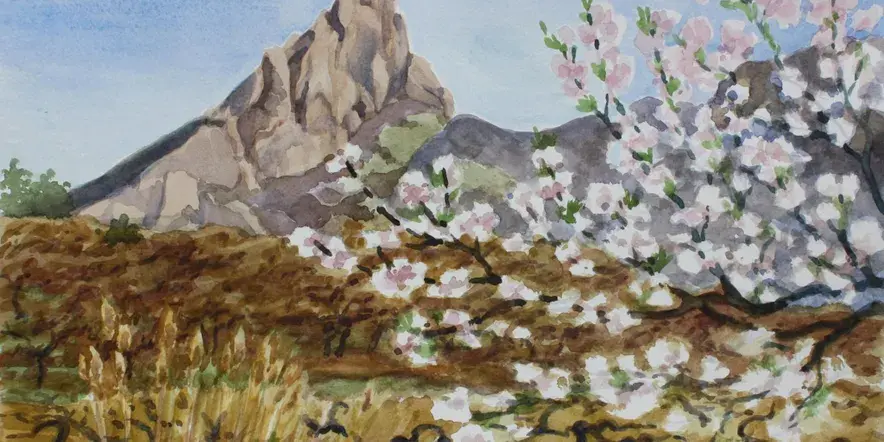 Готовимся к выходным: куда сходить и что посмотреть 15 и 16 июня в Крыму