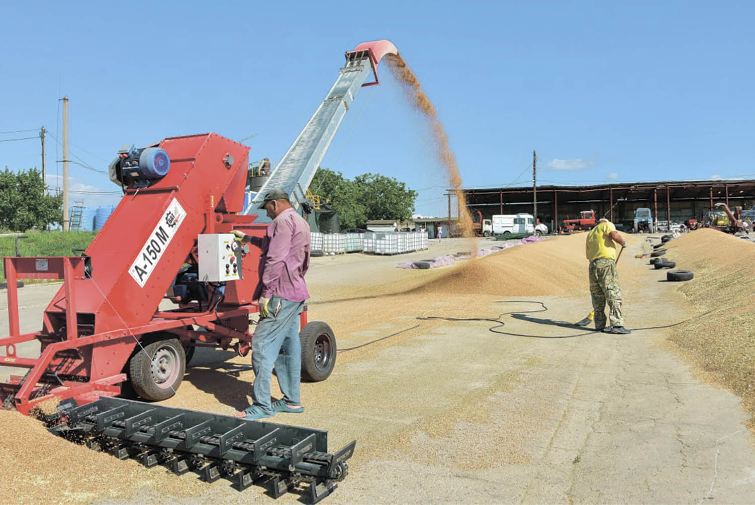 В Крыму проводят госмониторинг пшеницы