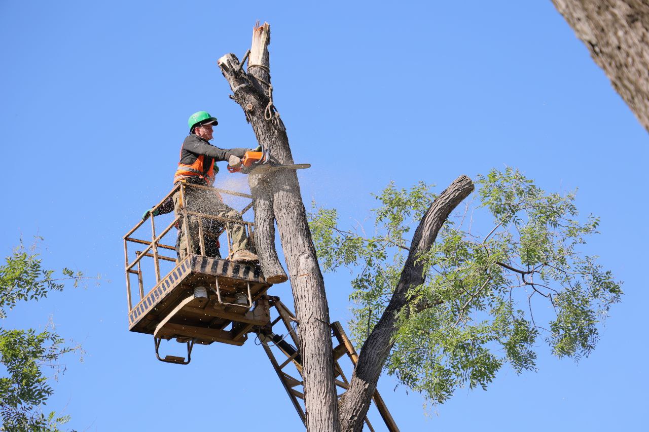 Обрывов стало в 10 раз меньше: Аксёнов назвал причину снижения аварийности на сетях электроснабжения